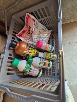 조성민님의 마늘 · 영농일지 작성글 사진