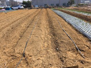 이진기님의 기타작물 · 영농일지 작성글 사진