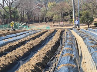 이경옥님의 기타작물 · 영농일지 작성글 사진