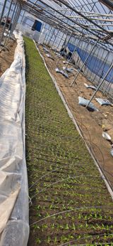 강연수님의 작성글 사진