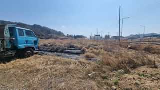 최강K님의 기타작물 · 영농일지 작성글 사진