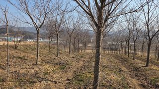 정진우님의 기타작물 · 영농일지 작성글 사진