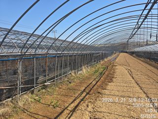 축복농장님의 감자 · 영농일지 작성글 사진