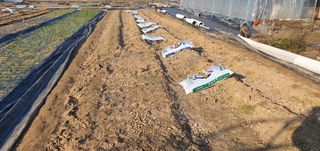 박상중님의 기타작물 · 영농일지 작성글 사진