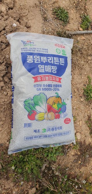 김영진님의 감 · 영농일지 작성글 사진