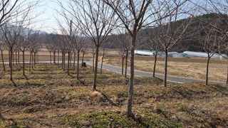 정진우님의 기타작물 · 영농일지 작성글 사진