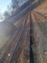 팜모닝 감자·영농일지 게시글 이미지