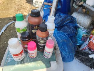 전선경님의 마늘 · 영농일지 작성글 사진