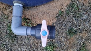 조연만님의 콩 · 영농일지 작성글 사진