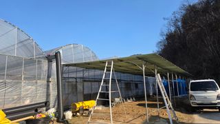 전진원님의 포도 · 영농일지 작성글 사진