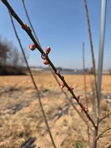 들깨19419님의 작성글 사진