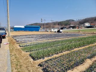 김길수님의 기타작물 · 영농일지 작성글 사진