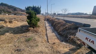 최강K님의 기타작물 · 영농일지 작성글 사진