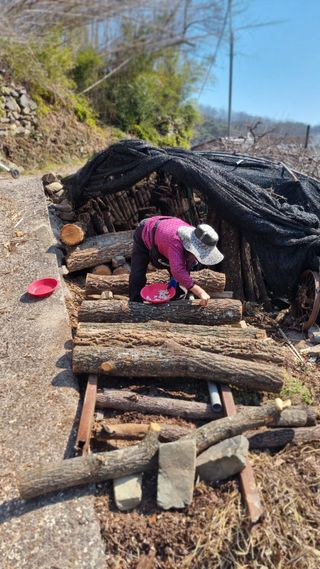 김동명님의 버섯 · 영농일지 작성글 사진