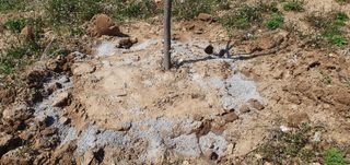 김영진님의 감 · 영농일지 작성글 사진