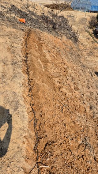 자귀향님의 기타작물 · 영농일지 작성글 사진