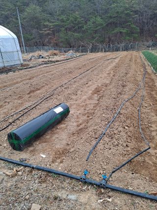 이한재님의 고추 · 영농일지 작성글 사진