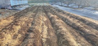 박상중님의 기타작물 · 영농일지 작성글 사진