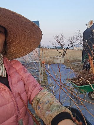 비타민님의 블루베리 · 영농일지 작성글 사진