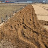 팜모닝 기타작물·영농일지 게시글 이미지