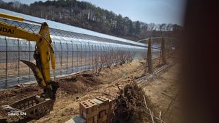 곰티농사꾼님의 기타작물 · 영농일지 작성글 사진