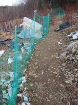 이근우님의 작성글 사진