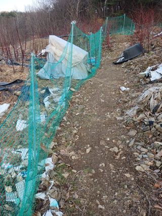 이근우님의 딸기 · 영농일지 작성글 사진