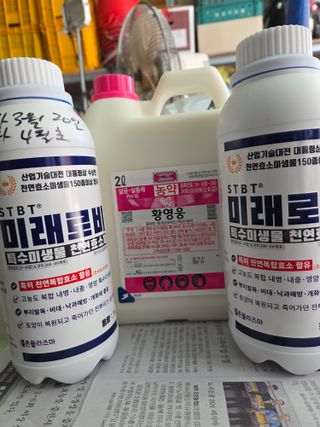 윤장원님의 자두 · 영농일지 작성글 사진