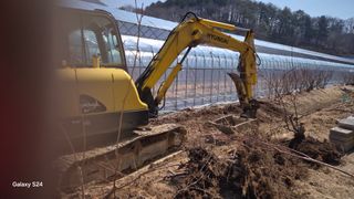 곰티농사꾼님의 기타작물 · 영농일지 작성글 사진