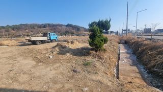 최강K님의 기타작물 · 영농일지 작성글 사진