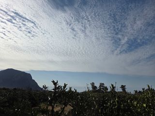 산방자연농원님의 기타작물 · 영농일지 작성글 사진