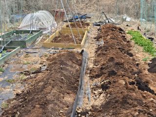 오세창님의 배추 · 영농일지 작성글 사진