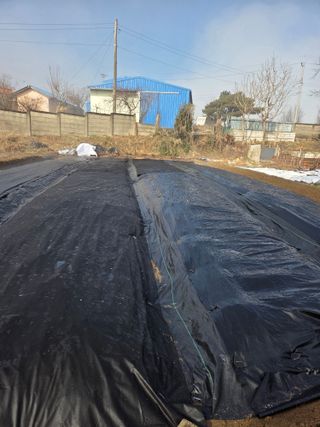 백현호님의 블루베리 · 영농일지 작성글 사진