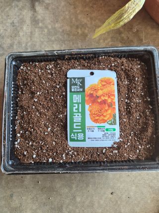 행복하게~님의 파 · 영농일지 작성글 사진