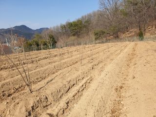 샤이니바다님의 기타작물 · 영농일지 작성글 사진