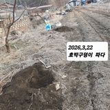 팜모닝 기타작물·영농일지 게시글 이미지