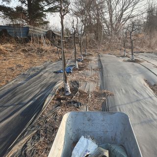 시민농장님의 기타작물 · 영농일지 작성글 사진