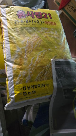 김영한님의 상추 · 영농일지 작성글 사진