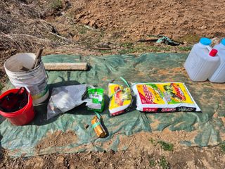 이준영님의 참깨 · 영농일지 작성글 사진