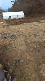 팜모닝 기타작물·영농일지 게시글 이미지