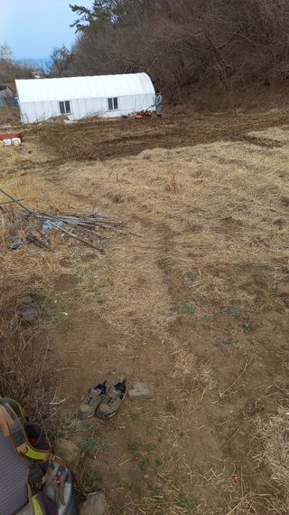 초보 구찌뽕님의 기타작물 · 영농일지 작성글 사진