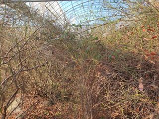 고흥백향과농장님의 기타작물 · 영농일지 작성글 사진