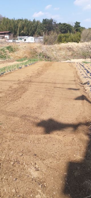 정진근 님의 기타작물 · 영농일지 작성글 사진