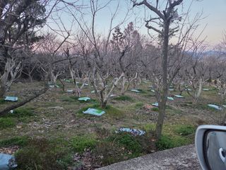 박영애님의 기타작물 · 영농일지 작성글 사진