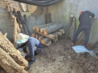 엉뚱님의 기타작물 · 영농일지 작성글 사진