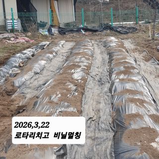 시민농장님의 기타작물 · 영농일지 작성글 사진