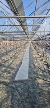 팜모닝 기타작물·영농일지 게시글 이미지