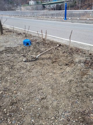 김용대님의 기타작물 · 영농일지 작성글 사진