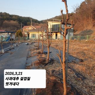 시민농장님의 기타작물 · 영농일지 작성글 사진