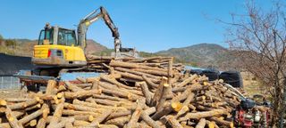 한밭농원님의 감자 · 영농일지 작성글 사진